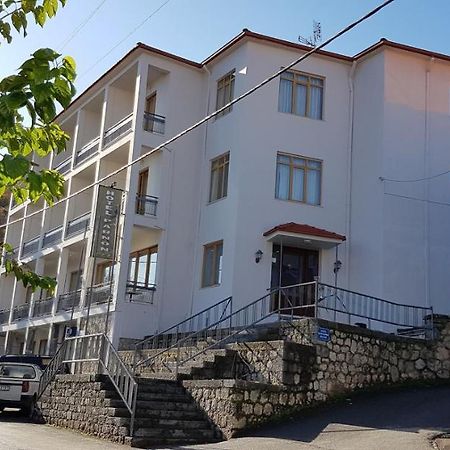 Parnon Hotel Agios Petros  Bagian luar foto
